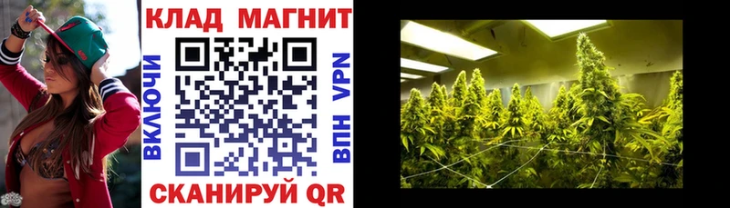 Продажа наркотиков Гороховец Амфетамин гидра маркетплейс Псилоцибиновые грибы Канабис ГАШ Alpha-PVP