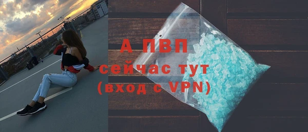 трава Белокуриха