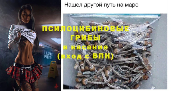 трава Белокуриха