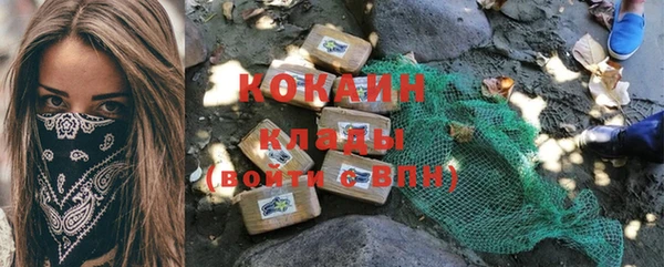трава Белокуриха