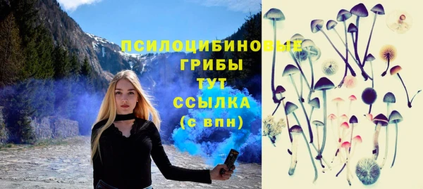 трава Белокуриха