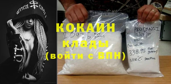 трава Белокуриха