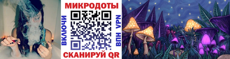 Псилоцибиновые грибы GOLDEN TEACHER  дарнет шоп  нарко площадка какой сайт  Гороховец 
